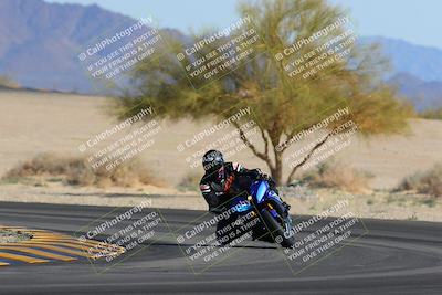 media/Feb-04-2023-SoCal Trackdays (Sat) [[8a776bf2c3]]/Turn 4 (Tree of Life 2pm)/